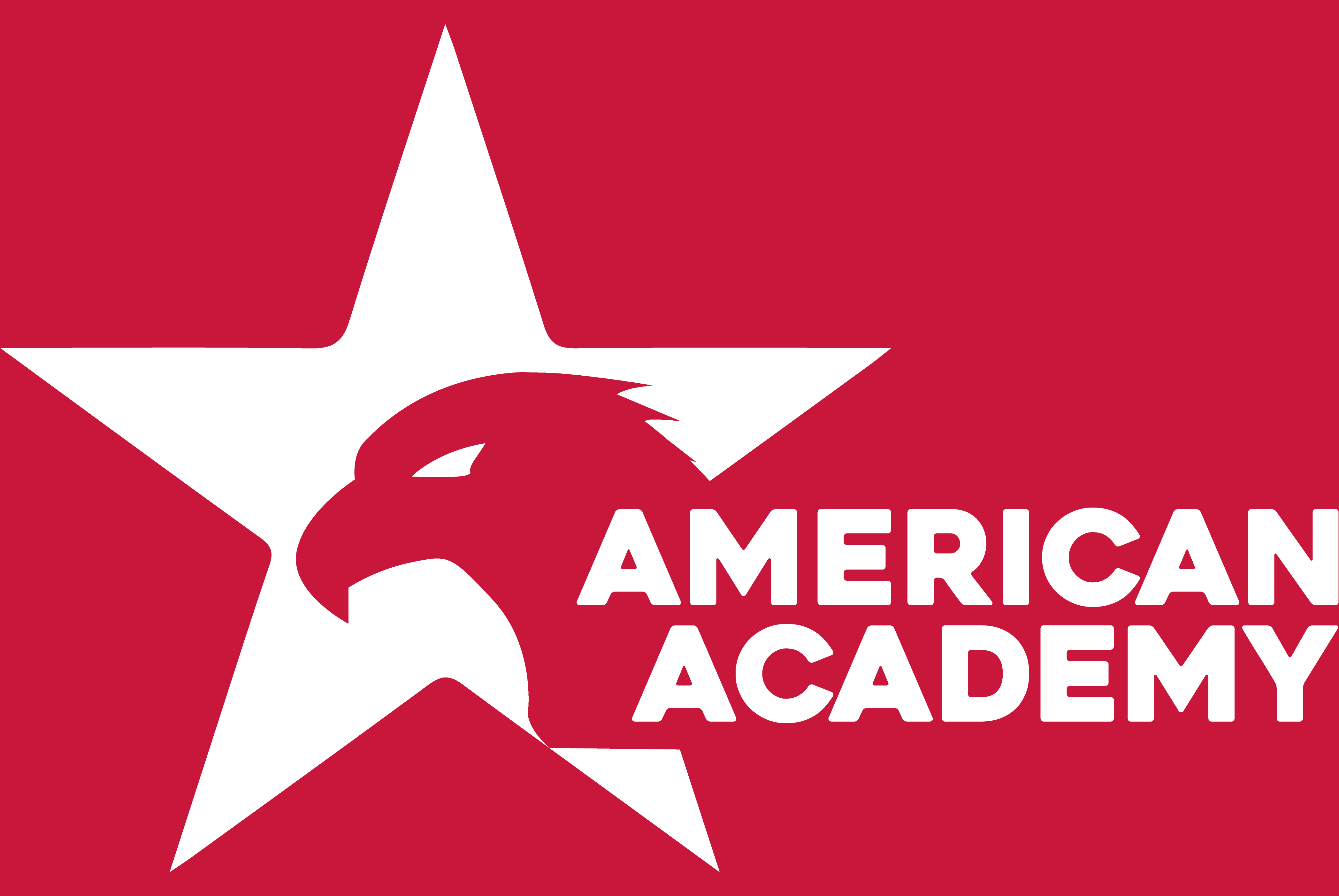 American academy bily motiv 1-01